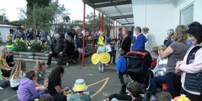 Daffodil Day at School 2018