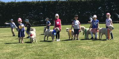 Lamb and Pet Day 2018