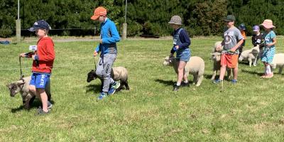 Lamb and Calf Day