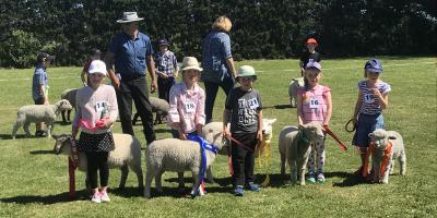 Lamb and Pet Day 2018